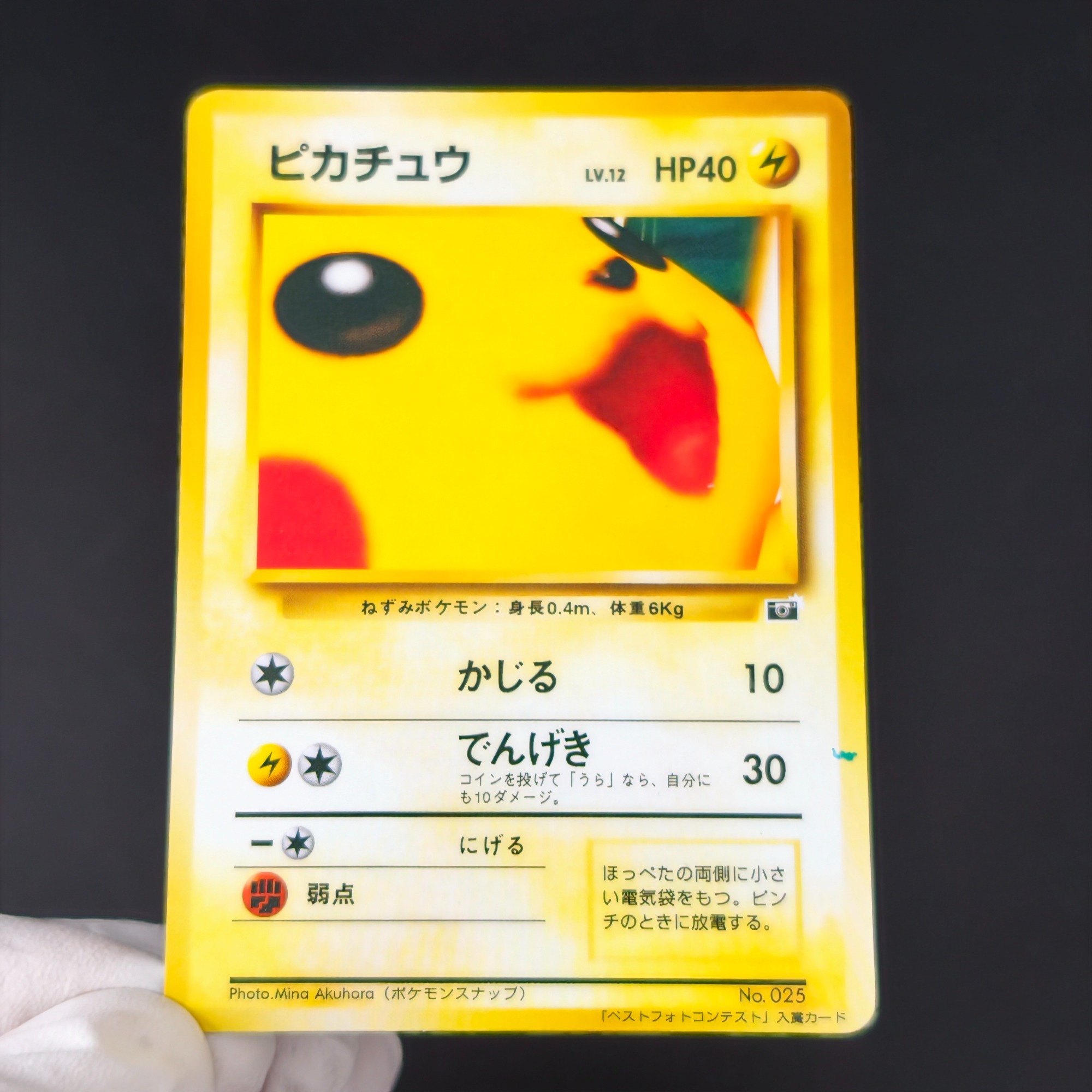 Retro Gaming Pokemon - 10 Buah Kartu Koleksi Anime Retro