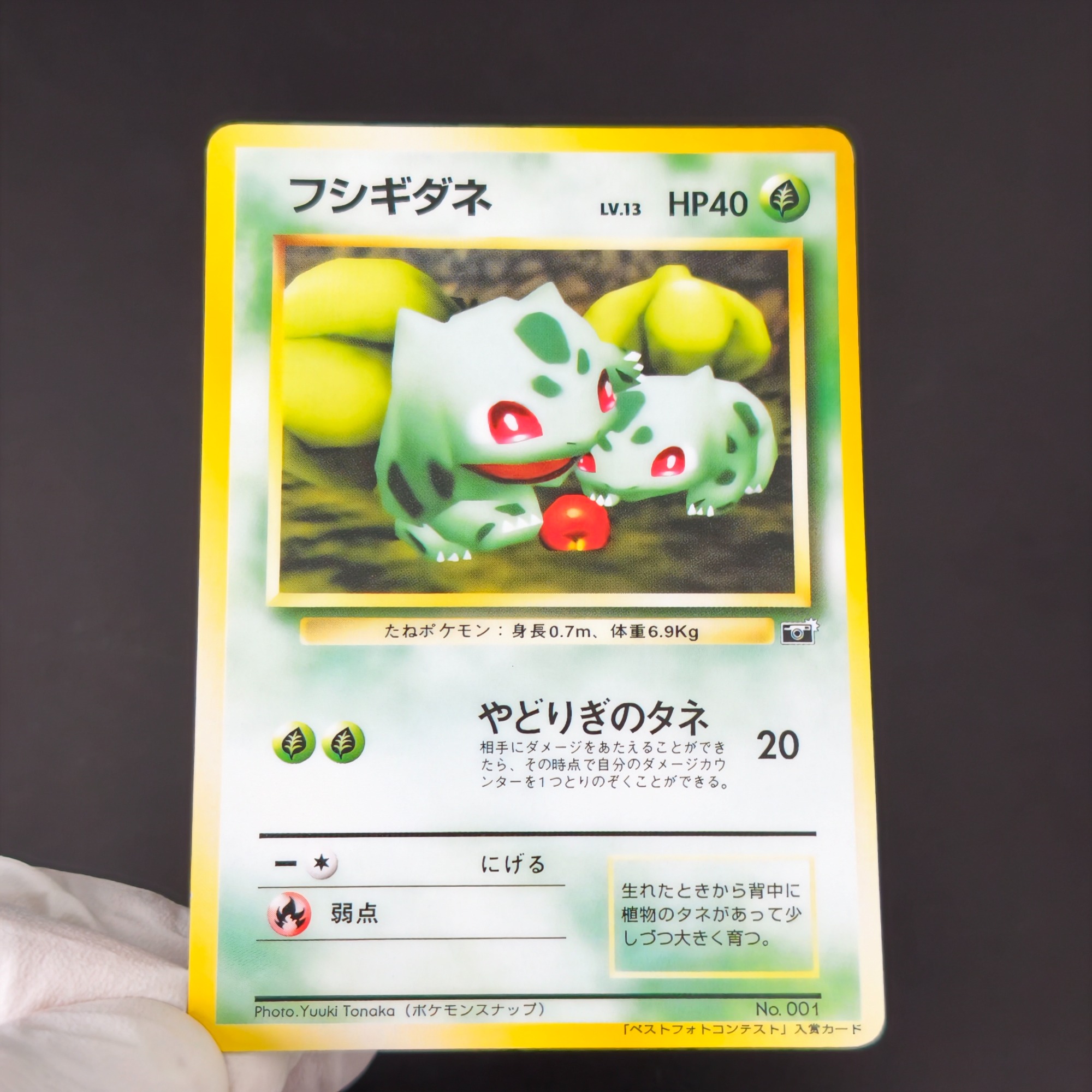 10 Buah Kartu Koleksi Anime Re - Retro Gaming Pokemon ulasan dan harga